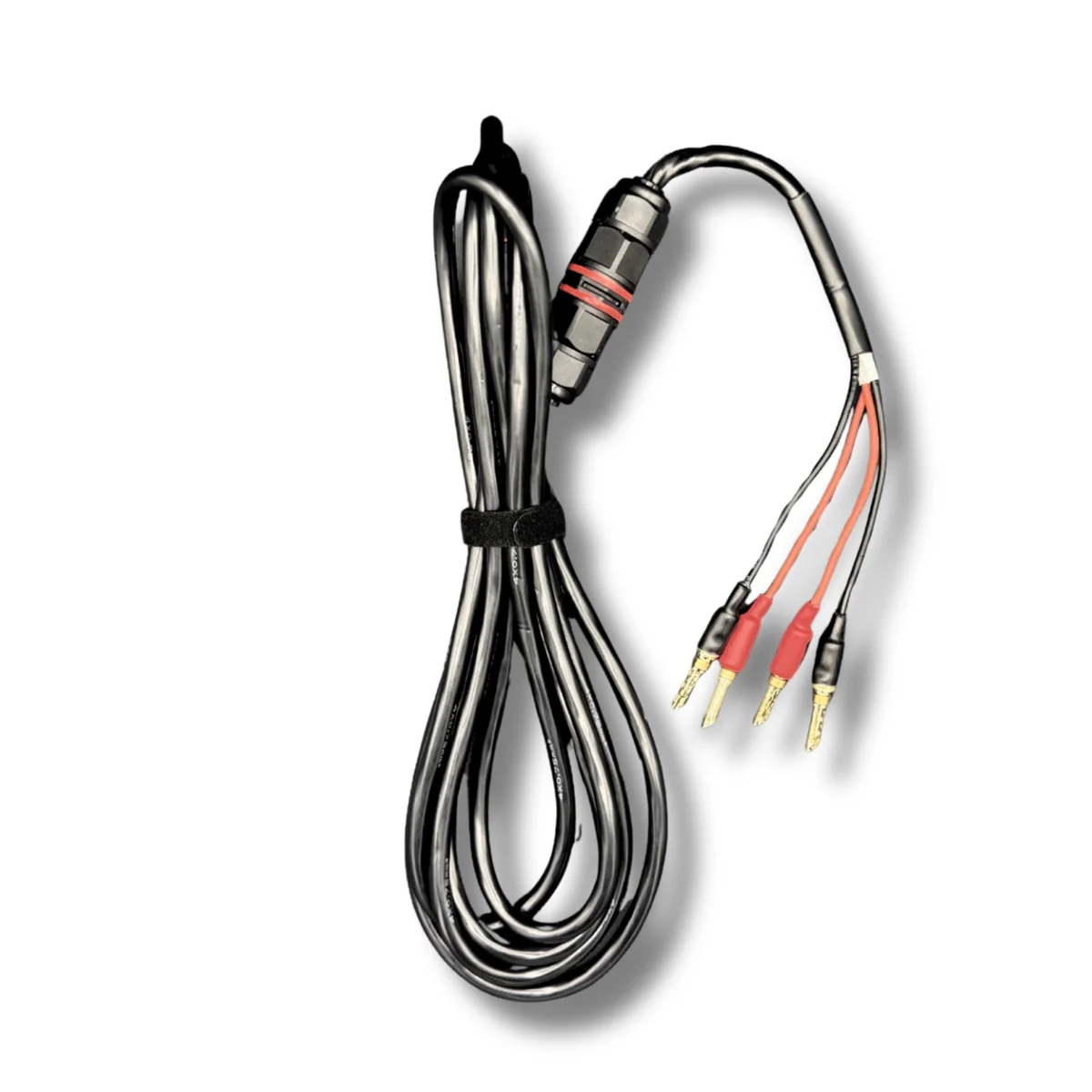 Svart, oppkveilet kabel med XLR-kontakt i den ene enden og tre ledninger i rødt, hvitt og svart i den andre, på hvit bakgrunn